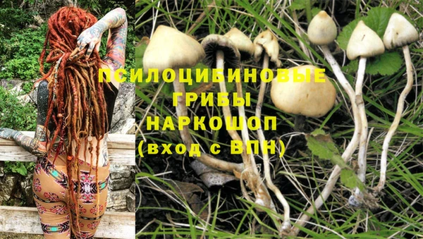 прущий лед Нея