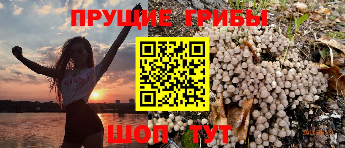 Псилоцибиновые грибы Magic Shrooms Печора