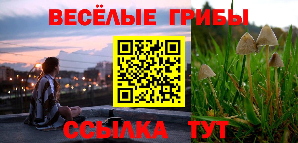 Печора  где купить наркоту  Вход с VPN  Галлюциногенные грибы Magic Shrooms 